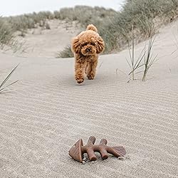 Benebone Fishbone Durable Dog Chew Toy for