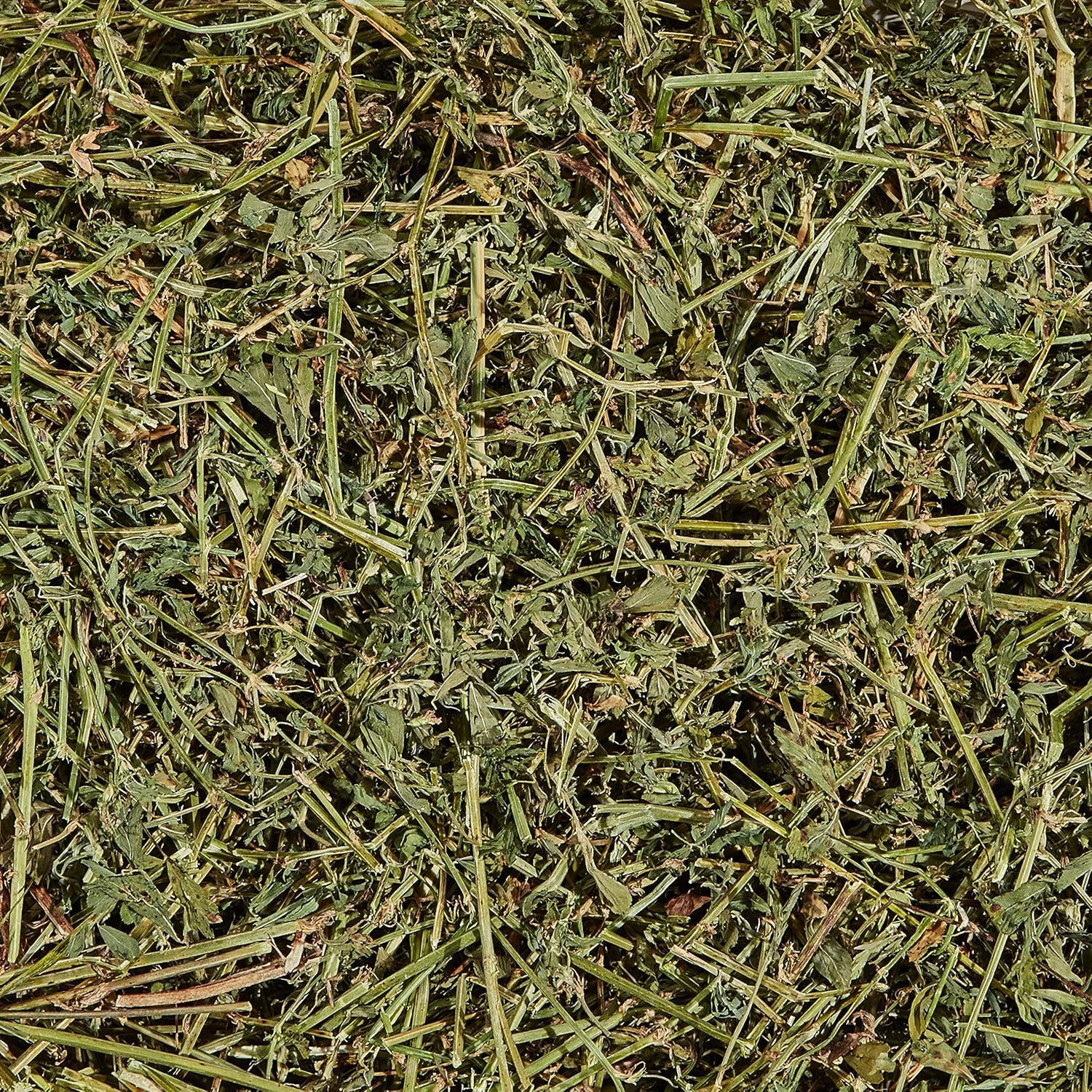 Kaytee Natural Alfalfa Hay Mini Bales High Fibre Food, 680 g, Green, 680 g (Pack of 1) - Image 3