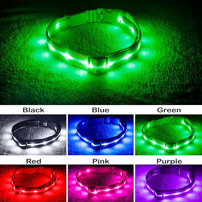 The Blazin Safety LED Dog Collar