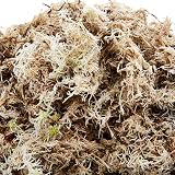 Komodo Habitat Moss 1.5 Litre Sphagnum for Humidity Reptile Setup view 2