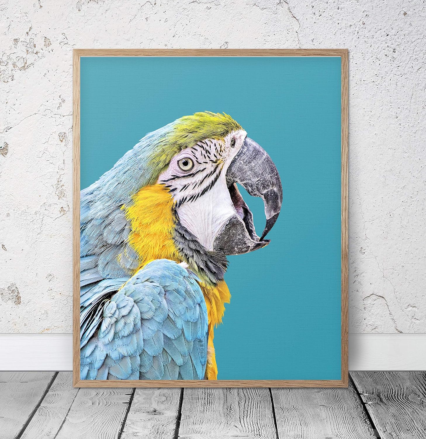 rfy9u7 8 by 12 Wood Framed Wall Decor Signs, Parrot Artwork