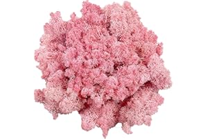 GUSALOO Moss Preserved Moss for Potted Plants Natural Fresh Green Reindeer Moss for Craft Arts Floral Wall Decor Decor Wedding Centerpieces Garden Artificial Terrariums Decoration for Christmas-Light Pink