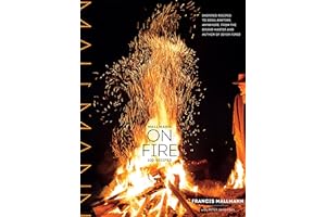 Mallmann on Fire: 100 Inspired Recipes to Grill Anytime, Anywhere