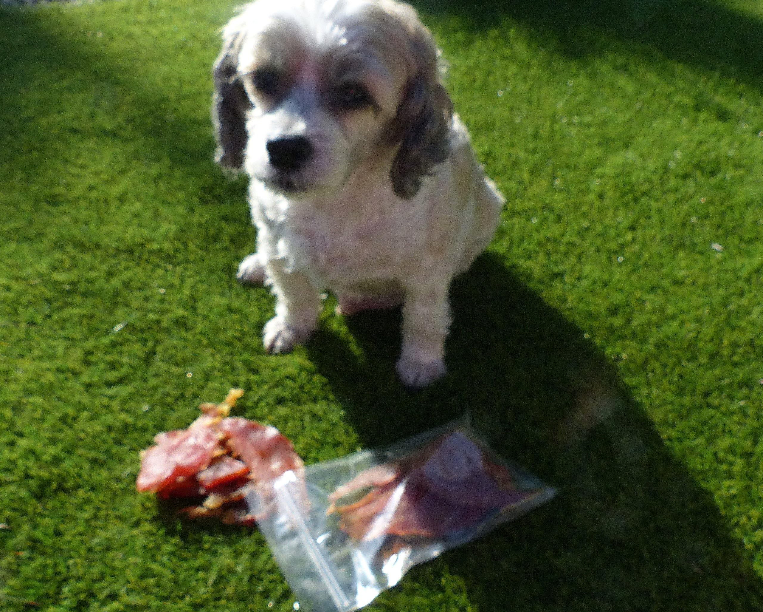 Dog treats All-natural Dog Treats REAL Chicken for Dogs - Pet Treats for Dogs Healthy Treats -Chicken Meat Products 100% Australian Made from REAL Chicken NO additives