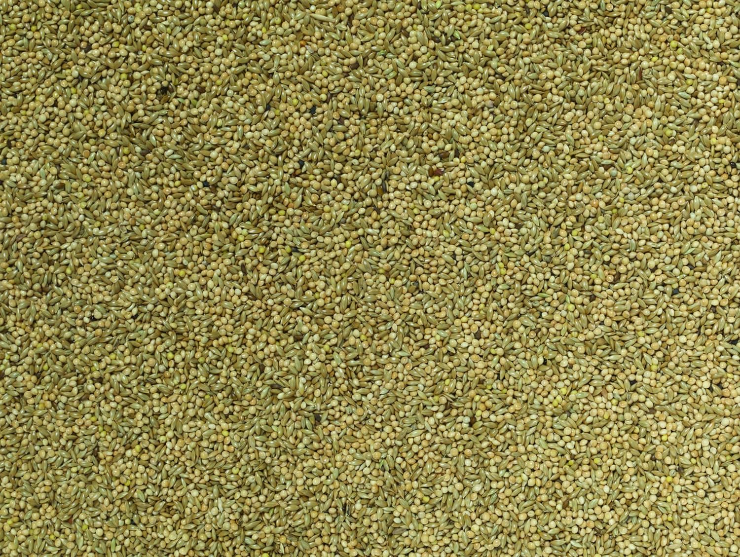 Johnston & Jeff Budgie Food, 20 kg