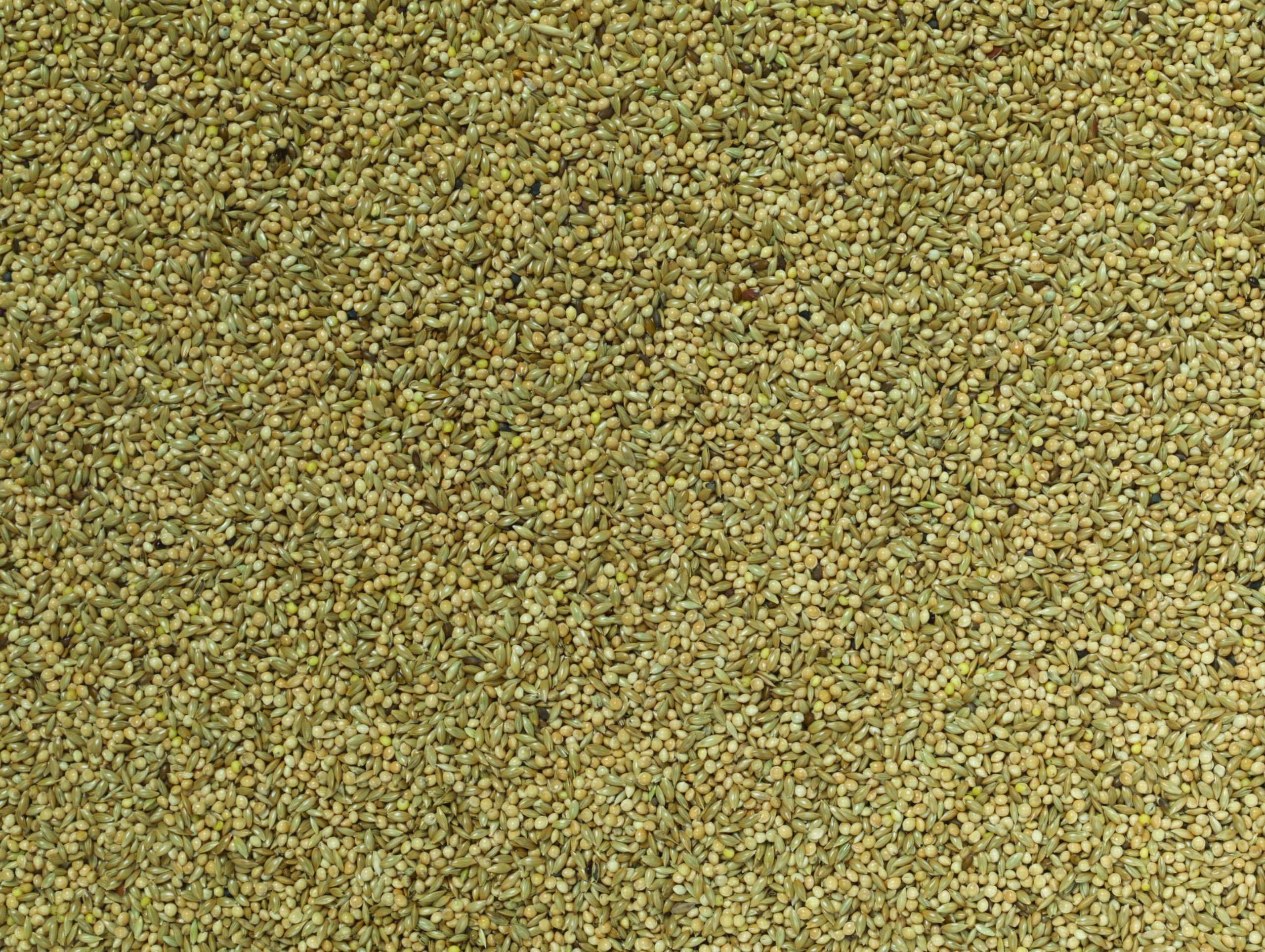 Johnston & Jeff Budgie Food, 20 kg