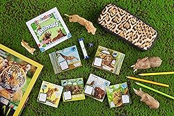 BrainBox Animals Card Game - Memory & Observation