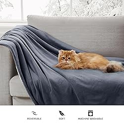 UGG 23854 Bliss Sherpa Fully Reversible Throw