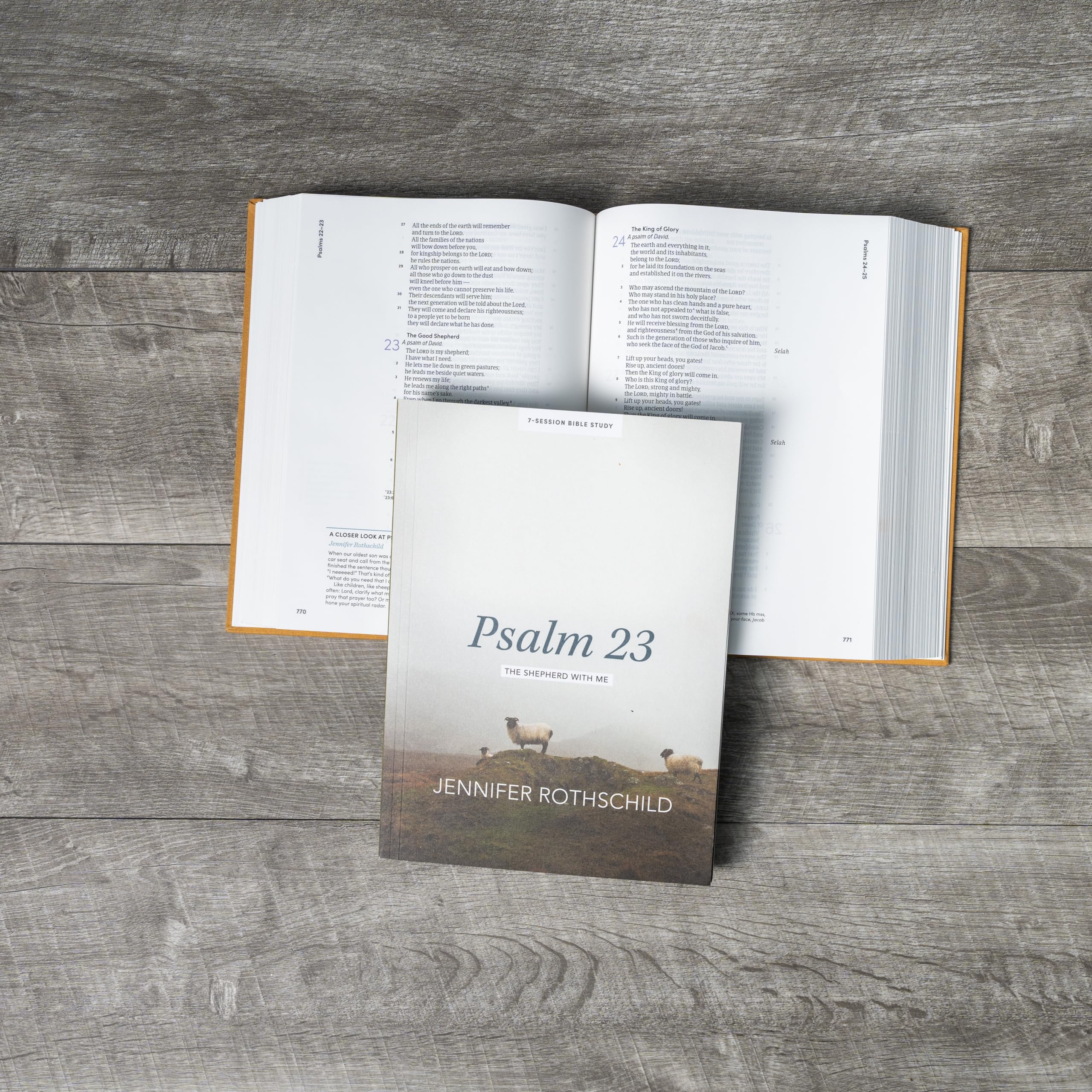 Psalm 23 - Bible Study for Women with Video Access: The Shepherd With Me