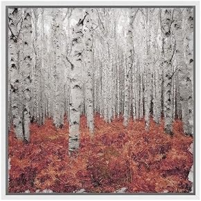 SIGNWIN Framed Canvas Wall Art White Birch Forest...