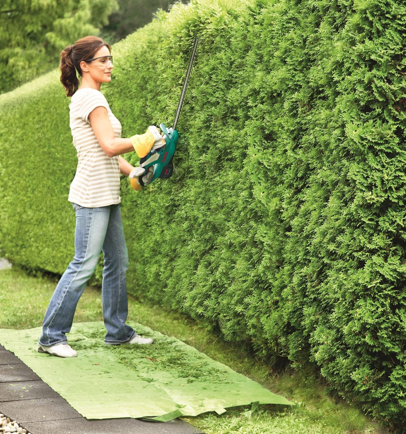 bosch ahs 48 li battery