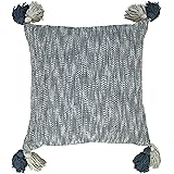 Amazon Brand – Rivet Modern Throw Pillow with Tassels - 18 x 18 Inch, Blue