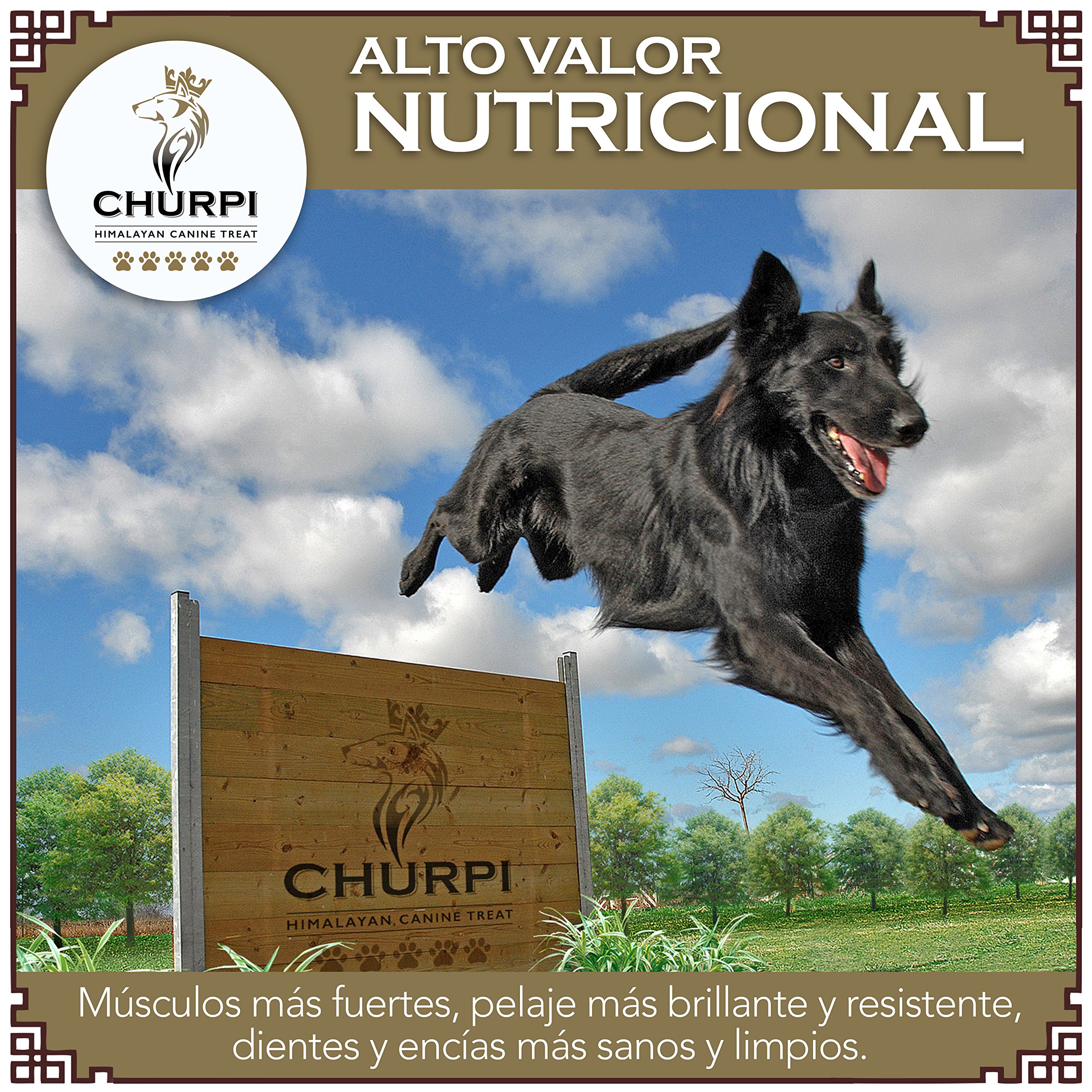 churpi himalayan canine treat