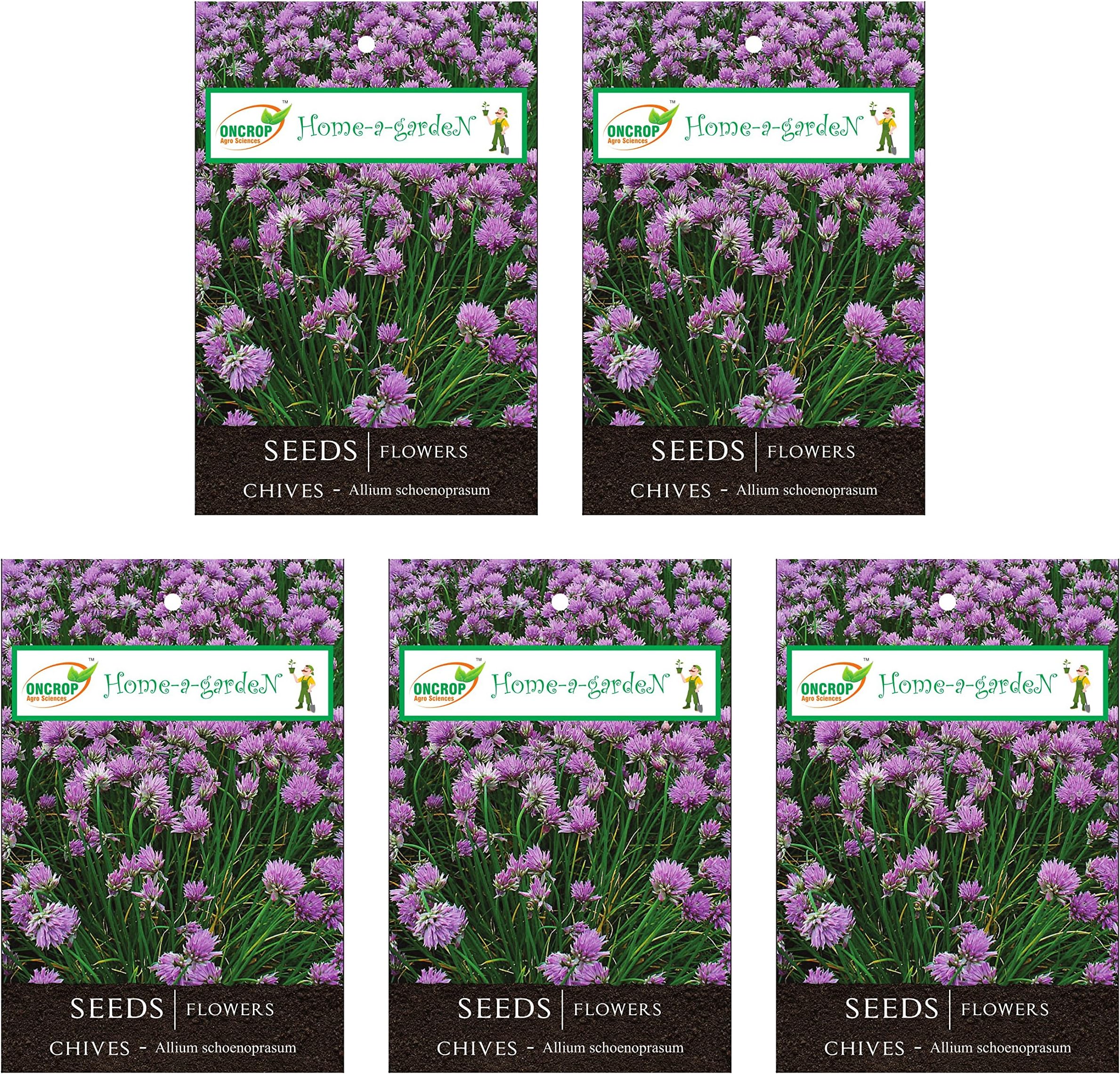 ONCROP CHI01-5 Chives Seeds (White, 2.5 Grams, Pack of 5)