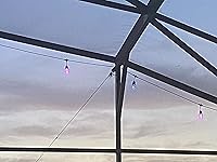 Review Image by Ryan P Rabida