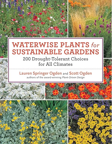 Waterwise Plants For Sustainable Gardens 200 Drought Tolerant Choices For All Climates Ogden Scott Springer Ogden Lauren 9781604691696 Amazon Com Books