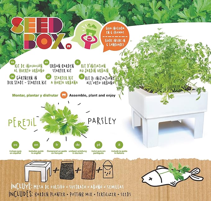 SeedBox SBMCUHB Huerto Urbano Cultívame Mini - Hierba Buena ...