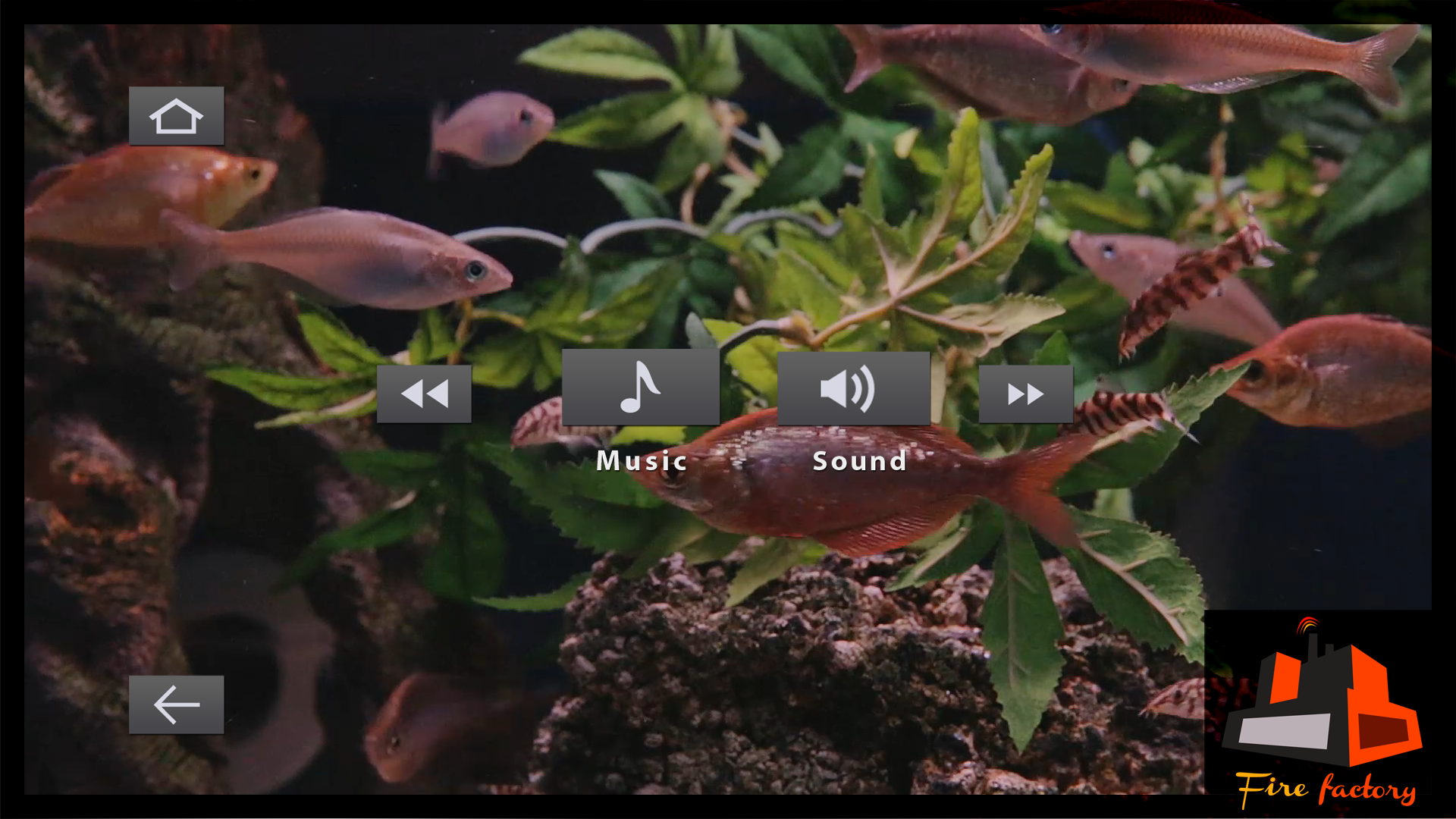Copper Fish Tank