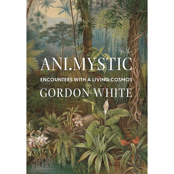 Amazon.com: The Handbook of Contemporary Animism (Acumen Handbooks