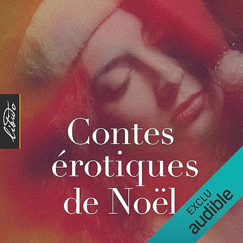 Download Contes érotiques de Noël PDF
