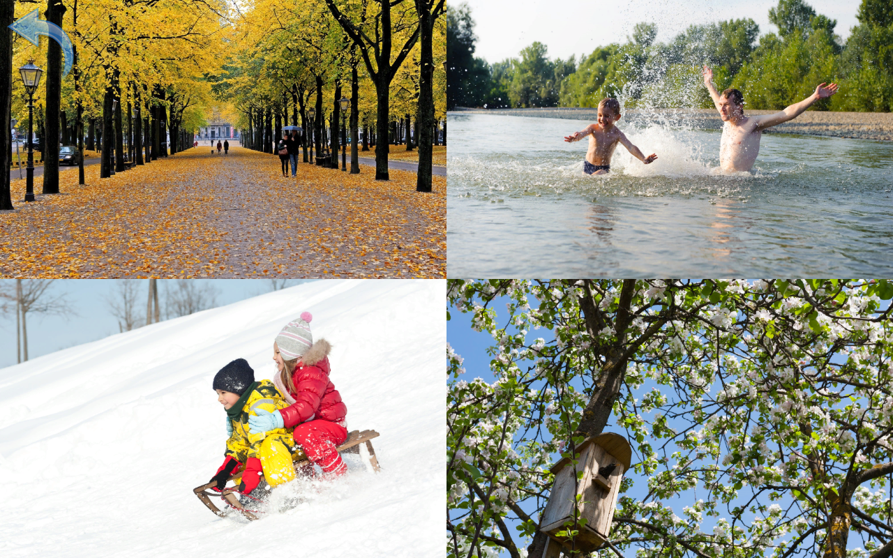 Nature for Kids Learning Flashcards for Kids and for Android