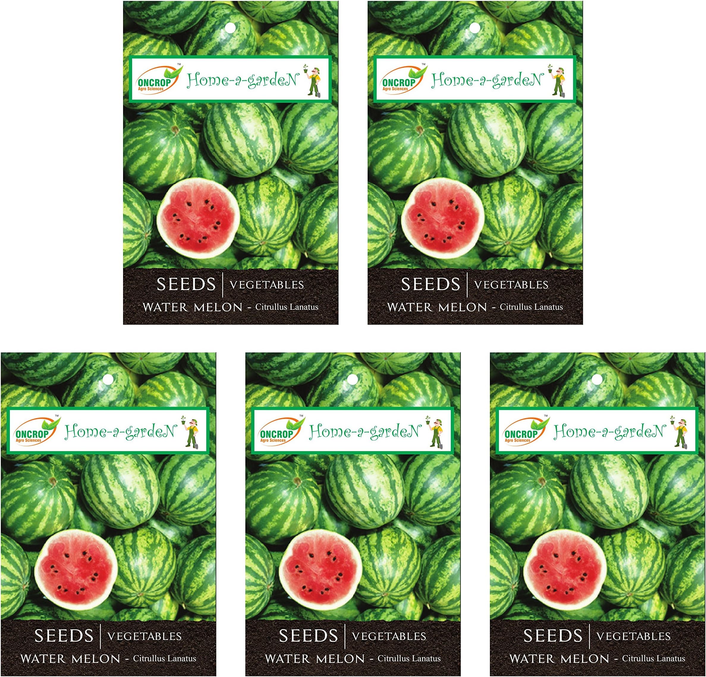 ONCROP WAT01-5 Watermelon Seeds (White, 40 Grams, Pack of 5)