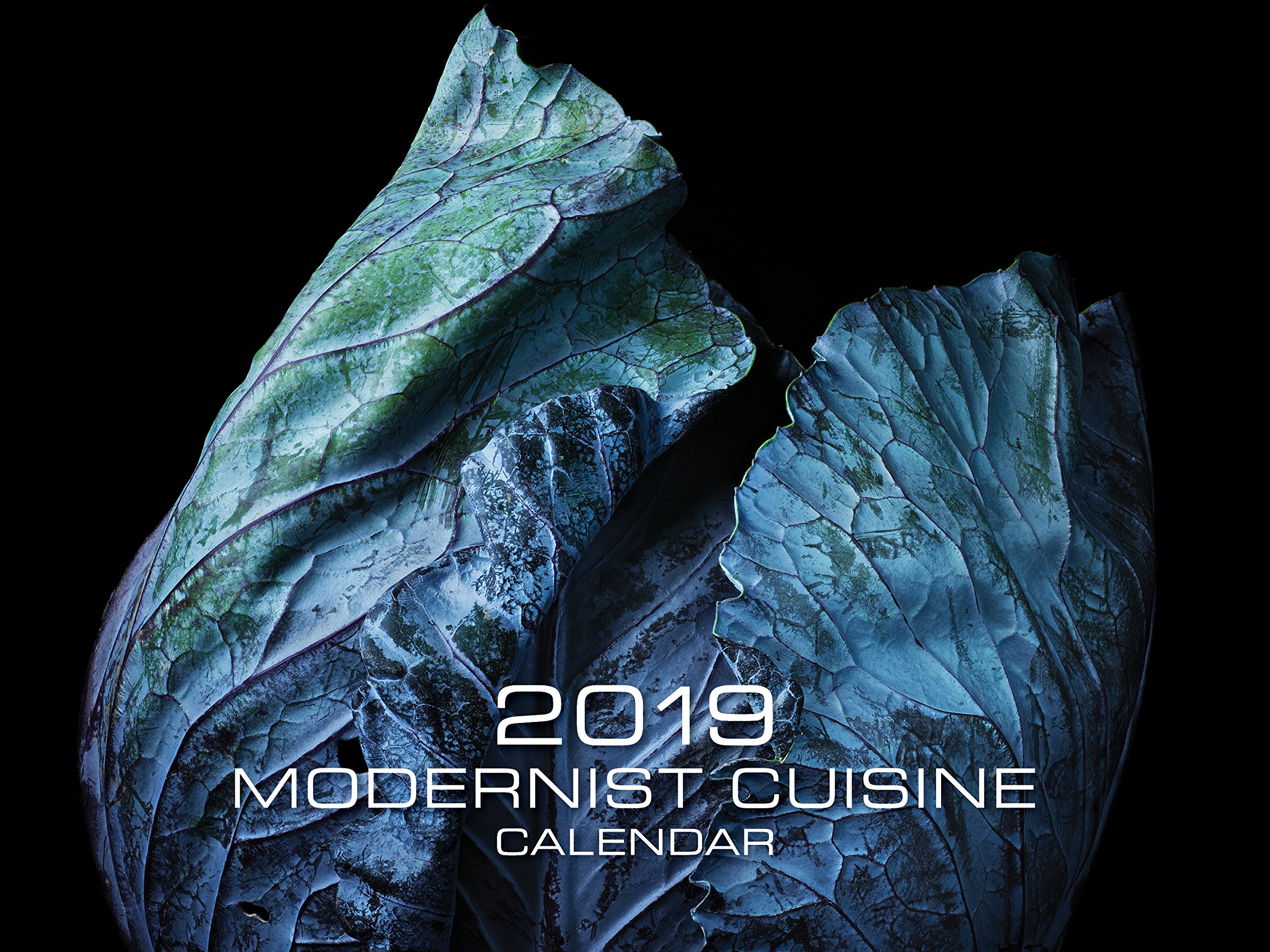 Modernist Cuisine 2019 Wall Calendar Nathan Myhrvold