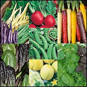 Amazon.com : Heirloom Vegetable Seeds, Survival, Bonus 8 Gardening