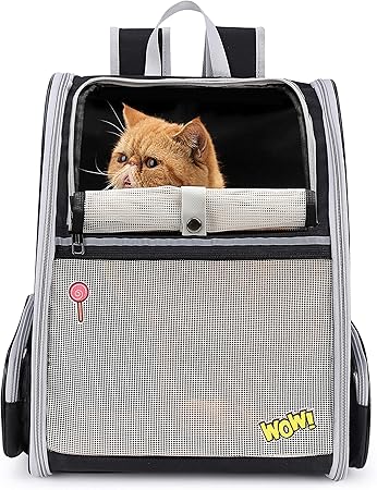 backpack for cats amazon