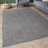 THE RUGS Low Pile Area Rug Grey 120x170 cm Non-Shedding Modern Home