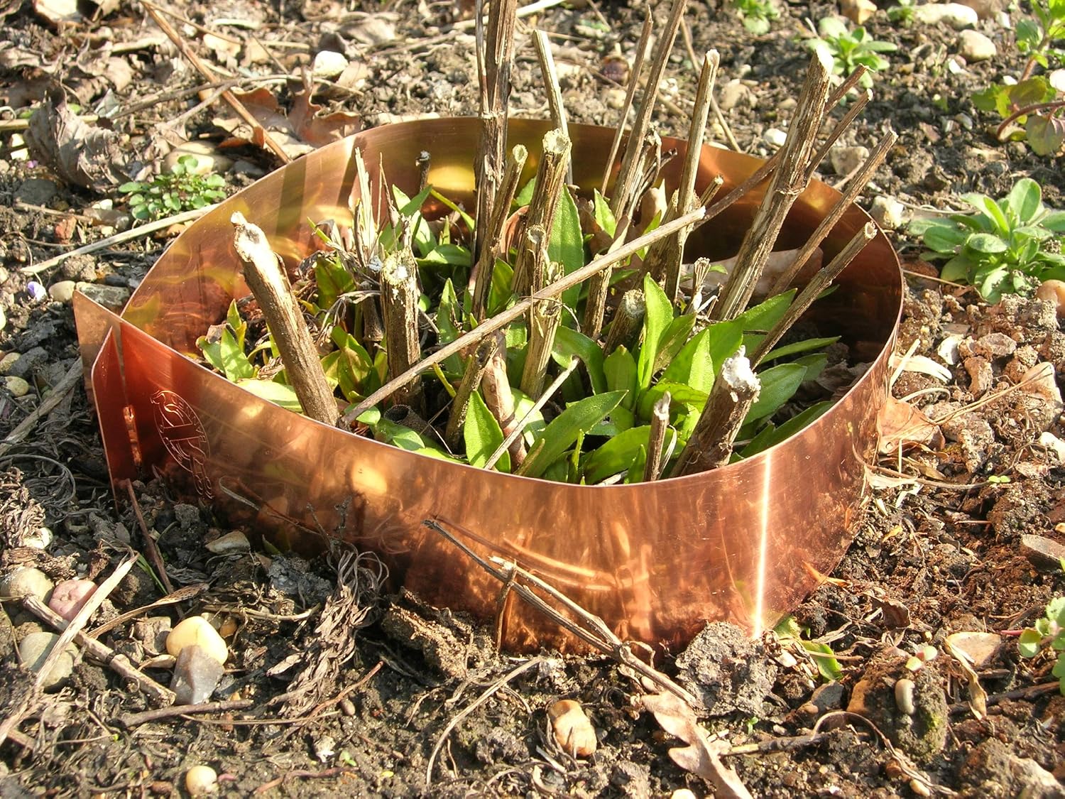 Copper slug bands 7 inch 5 per pack Amazon.co.uk Garden
