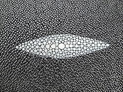 PELGIO Genuine Stingray Skin Leather Hide Pelt