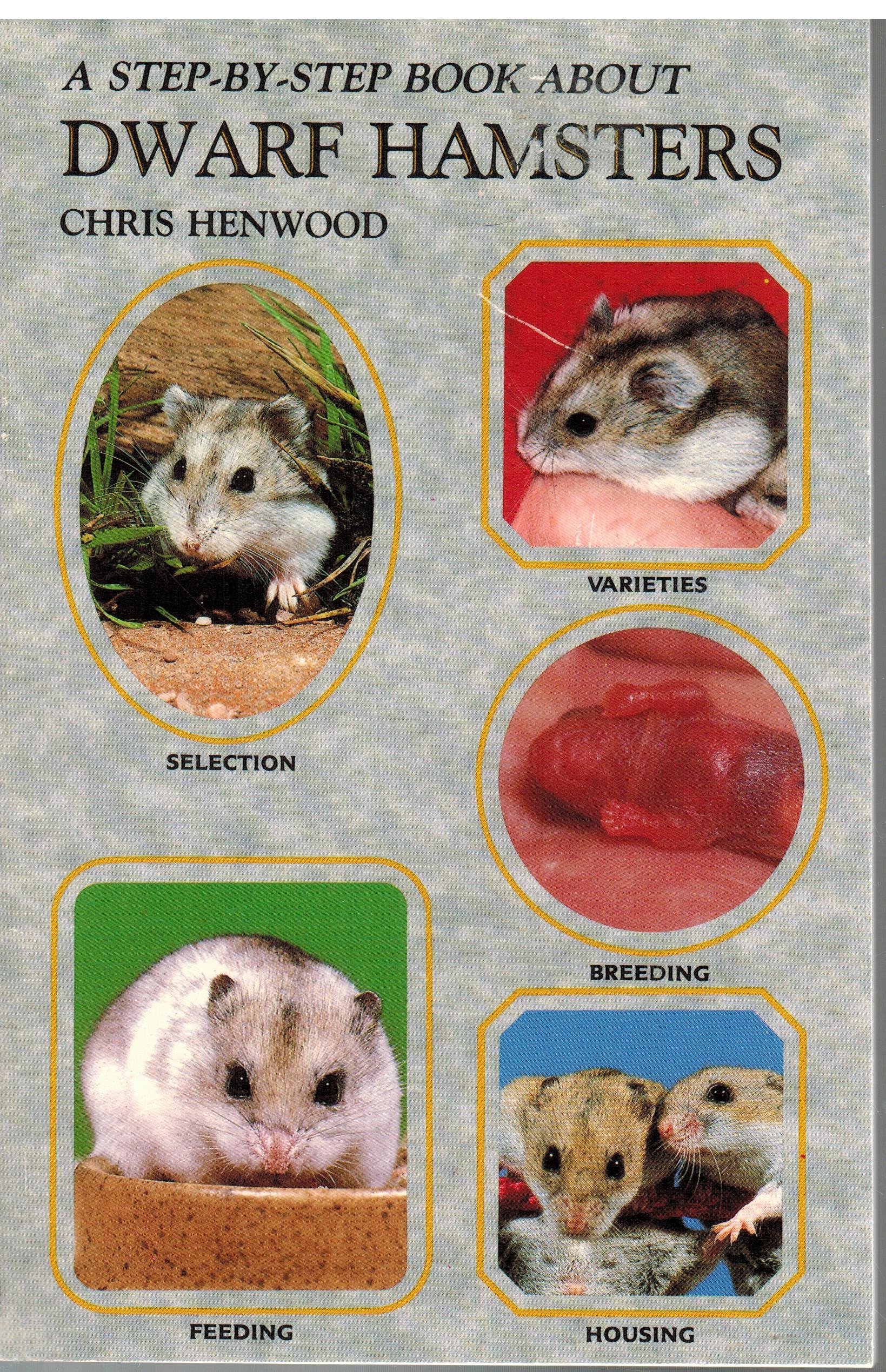 kinds of dwarf hamsters