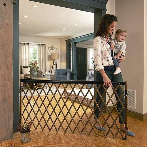 Evenflo Expansion Walk-Thru Room Divider Baby Gate (Farmhouse