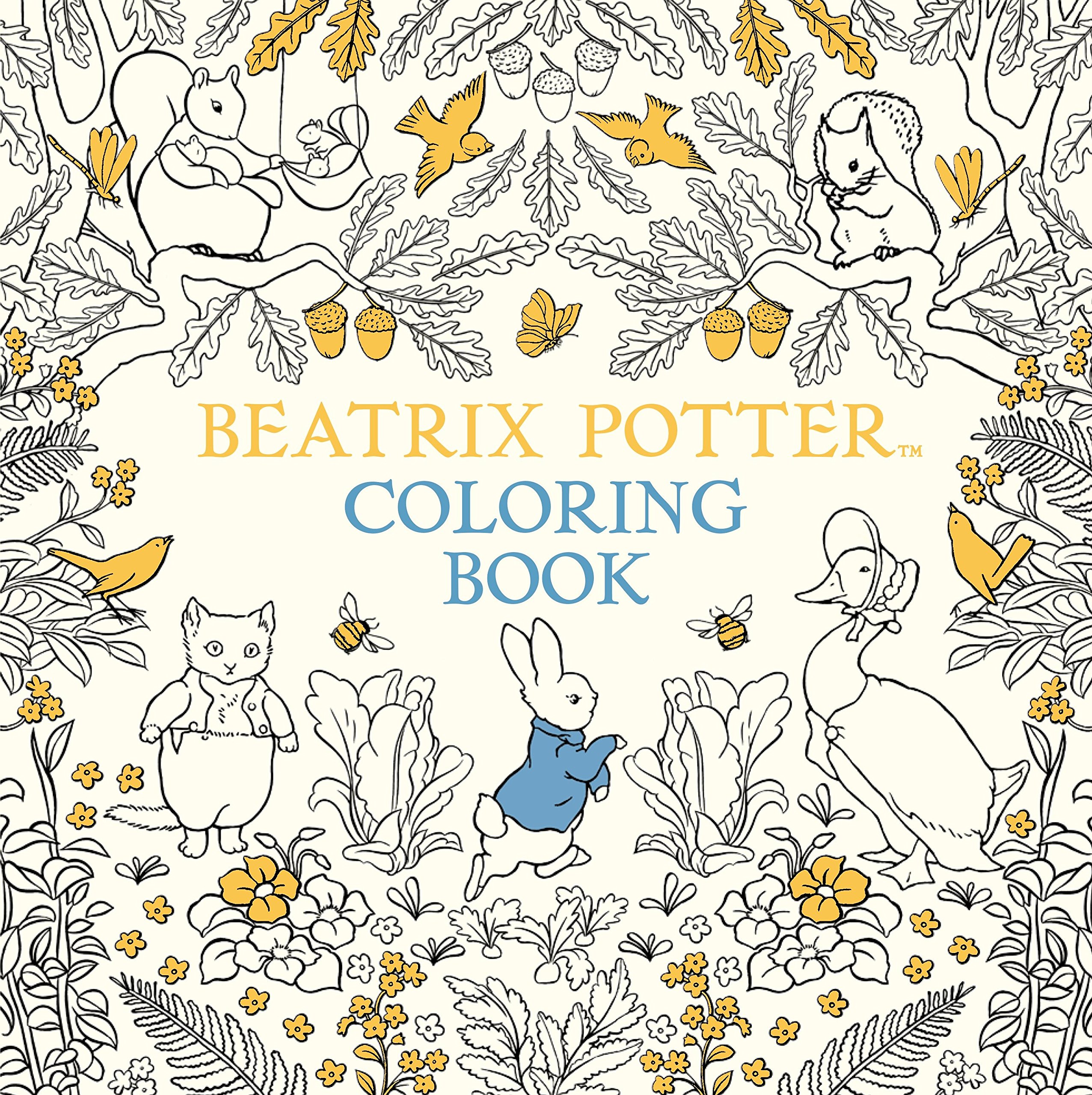 The Beatrix Potter Colouring Book Peter Rabbit Amazon Co Uk Potter Beatrix 9780141377483 Books
