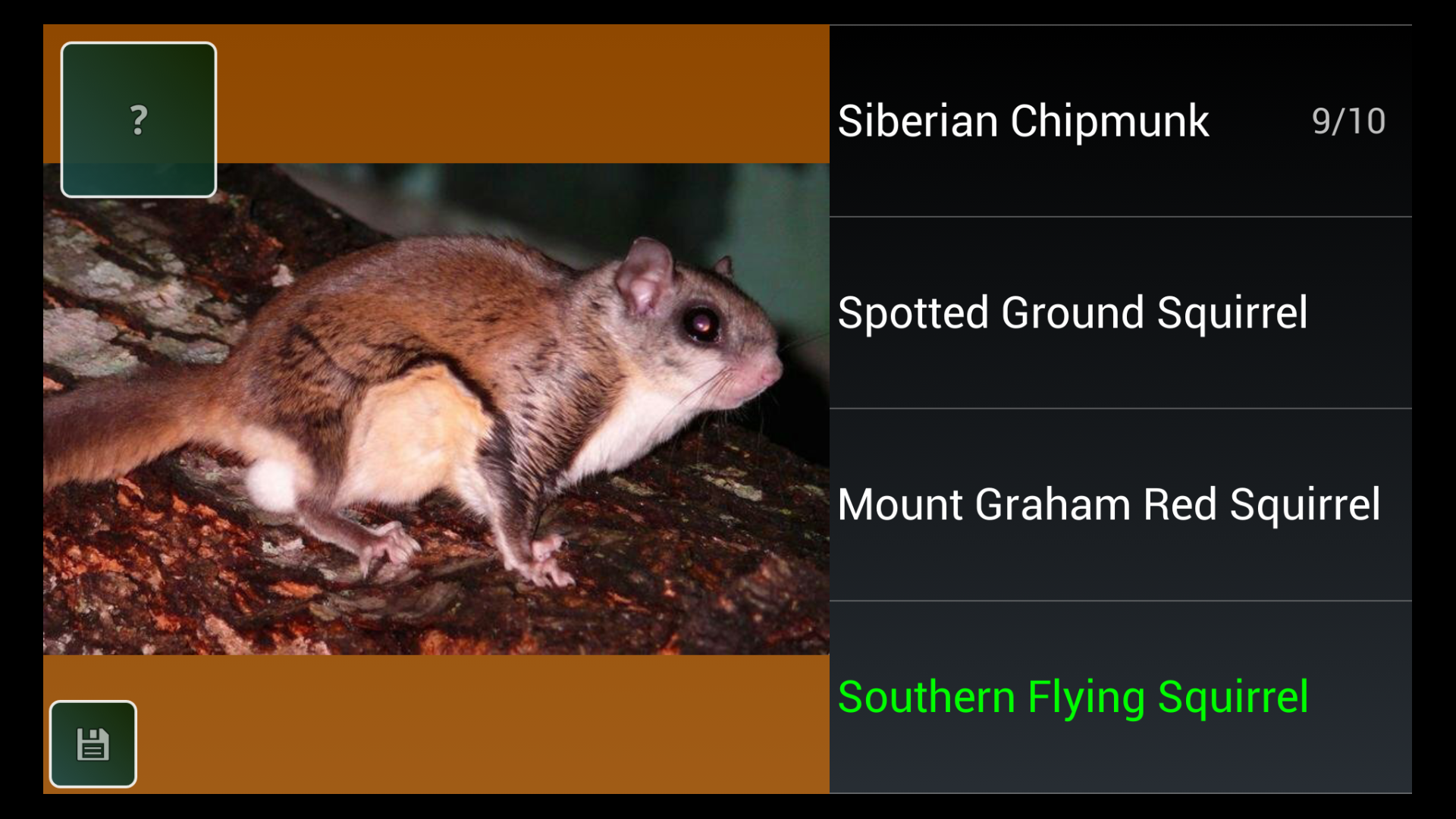 Rodent Species Trivia for Android