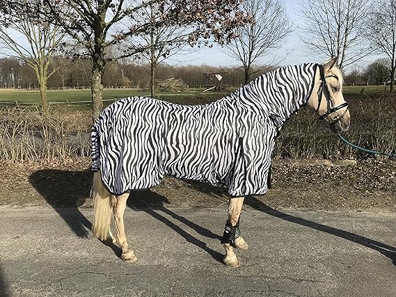 Hafer24 Fliegendecke Weidedecke Dubai mit Halsteil zebra