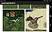 Jurassic Pocket Mod PE