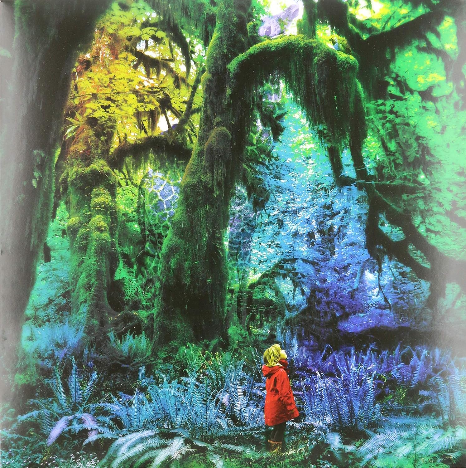 Jacco Gardner Cabinet Of Curiosities Lp Cd Amazon Com Music