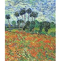 Raven Biology of Plants