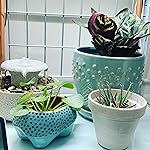 Review Image by Julie Alexander Julie Alexander