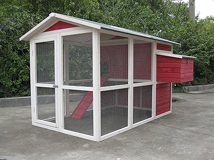 Coops Feathers Large Chicken Coop Décor