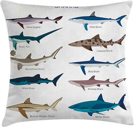 Amazon Com Ambesonne Shark Throw Pillow Cushion Cover Types Of