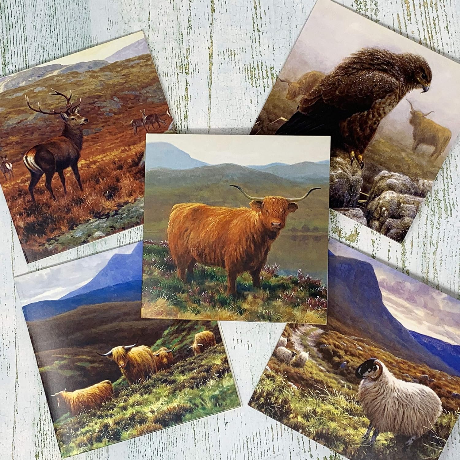 Pack of 10 Highland Animal Greeting Cards with envelopes, All Occasion Blank Cards, Thank You Card, Birthday Card - Image 4