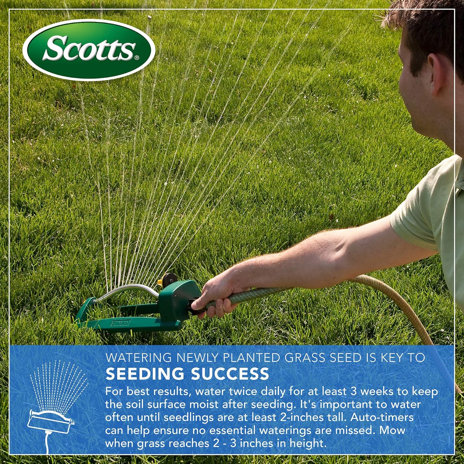 Scotts Turf Builder Grass Seed Sun and Shade Mix, 3 lb. - Grows in Extreme Conditions Including Full Sun and Dense Shade - Seeds up to 1, 200 sq. ft. : Grass Plants : Garden & Outdoor