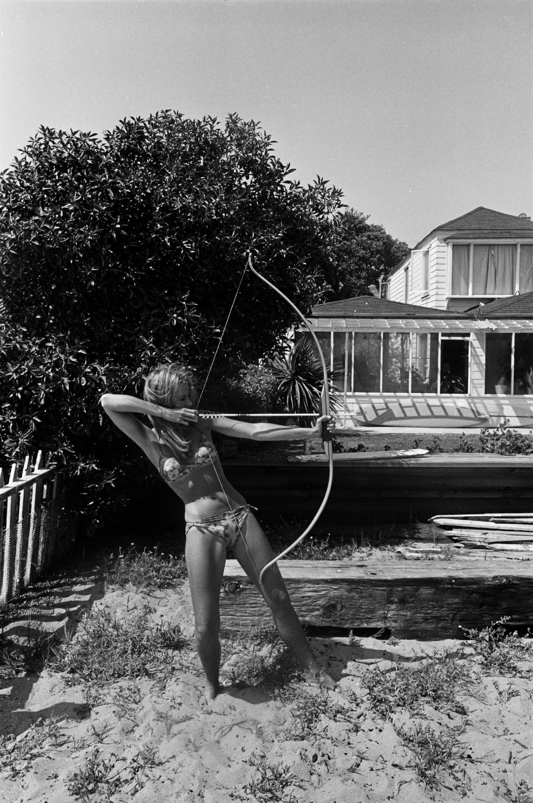 Image result for dennis hopper photography