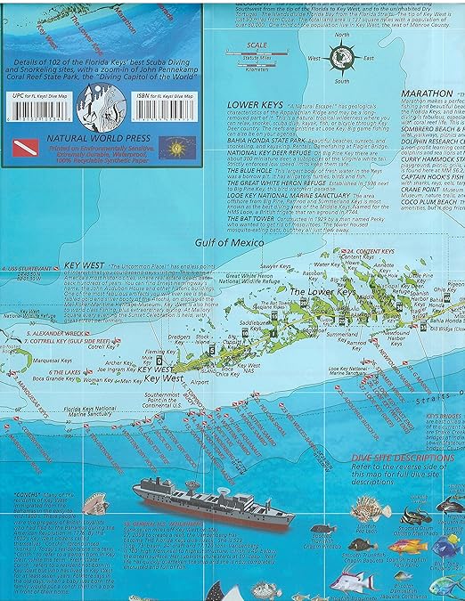 Reef Map Florida Keys - Share Map