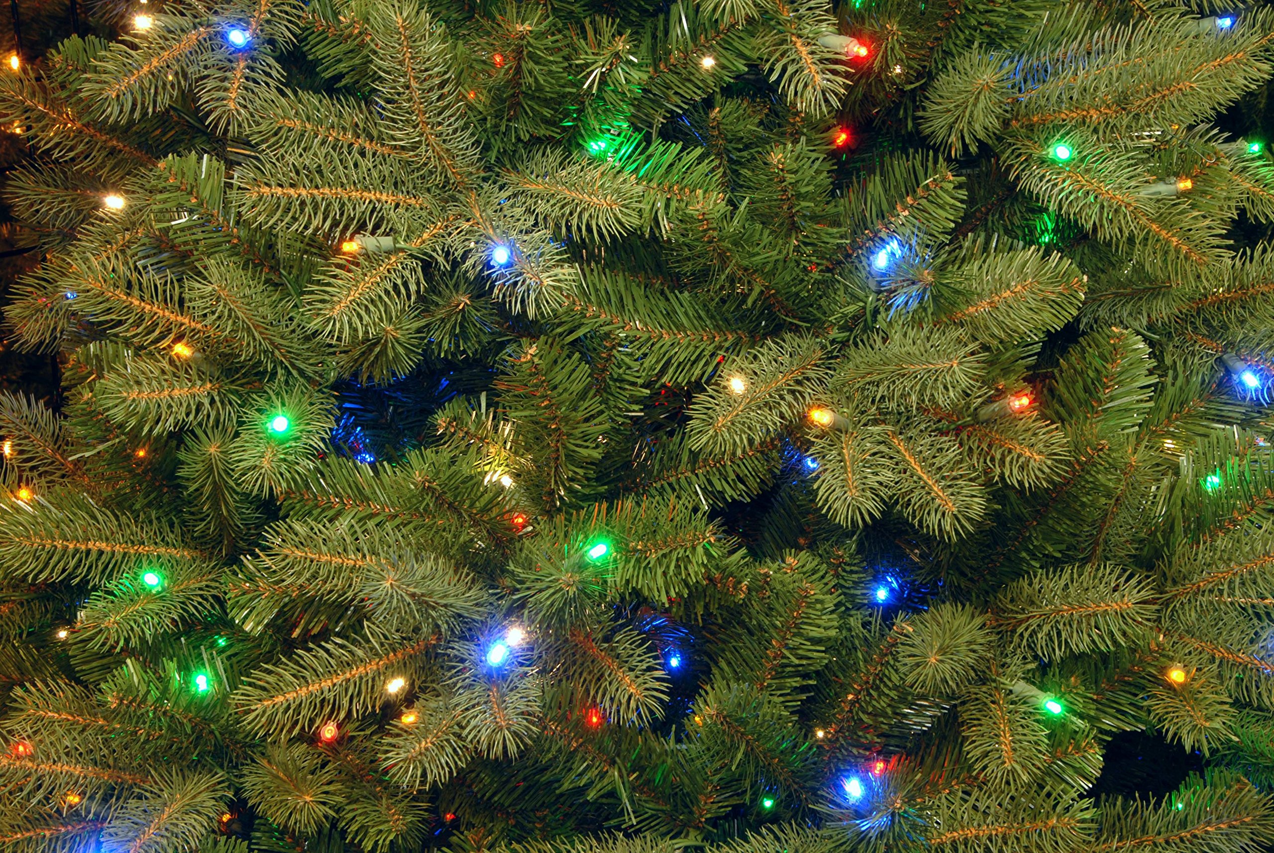 Mua National Tree 7.5 Foot "Feel Real" Downswept Douglas Fir Tree with 750 Dual Color LED Lights