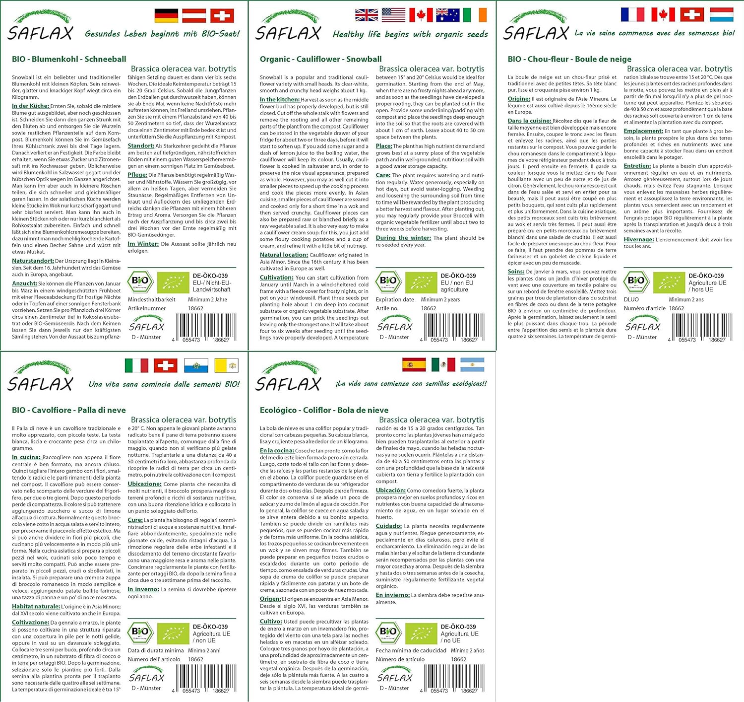 brassière coton bio