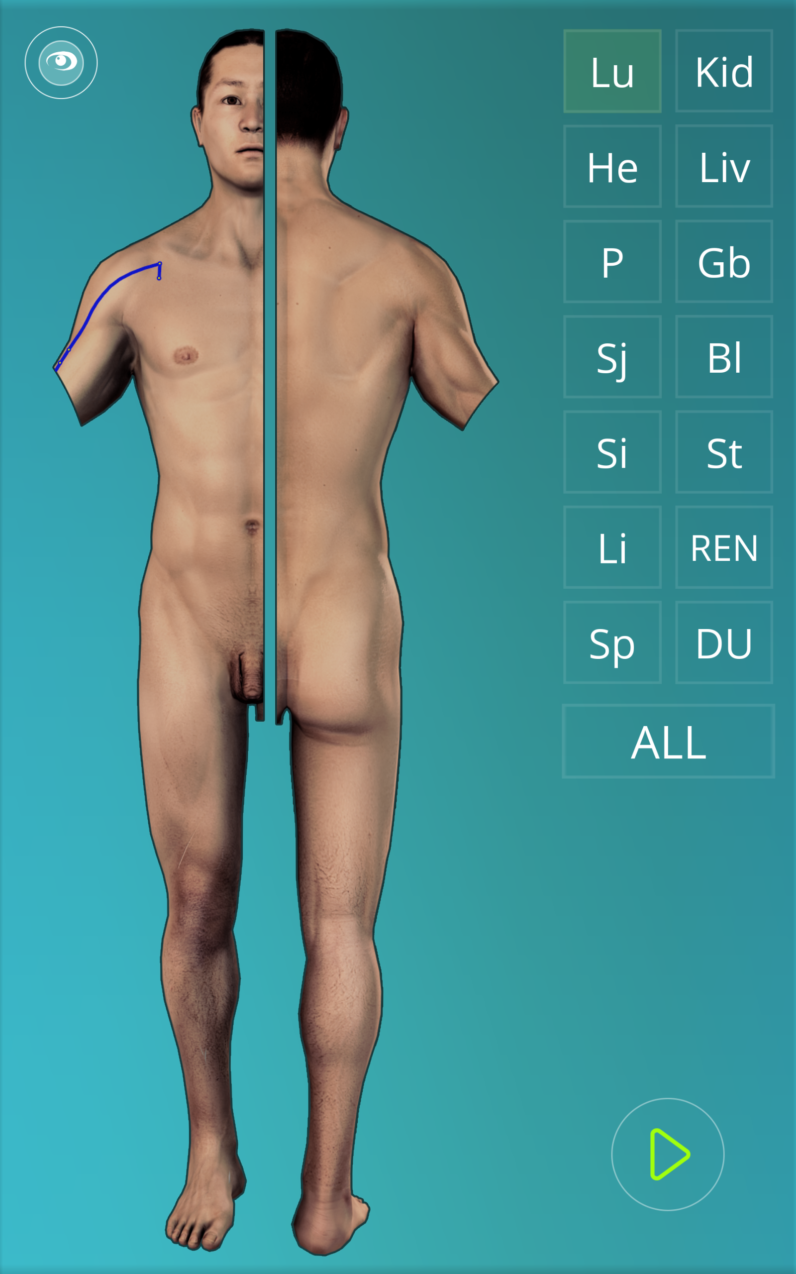 Acupuncture Quiz - Point Locations